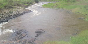A section of River Nyamindi located in Kirinyaga County